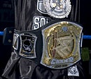 Новый титул Чемпиона WWE от Джона Сины